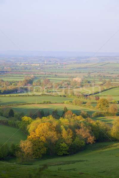 Pastoral countryside, England Stock photo © andrewroland