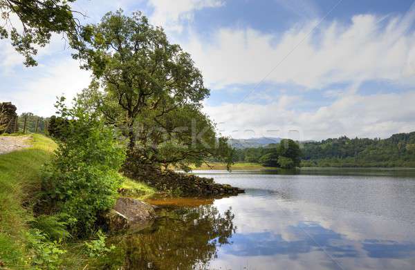 Víz Lake District Anglia tájkép sétál park Stock fotó © andrewroland