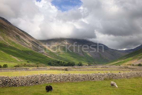 Wasdale Head, The Lake District Stock photo © andrewroland