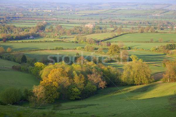 Pastoral countryside, England Stock photo © andrewroland