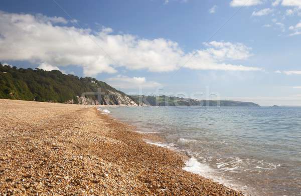 Slapton Sands, Devon Stock photo © andrewroland