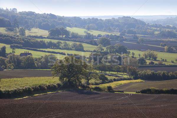 Foto stock: Rural · campo · padrões · tarde · verão · paisagem