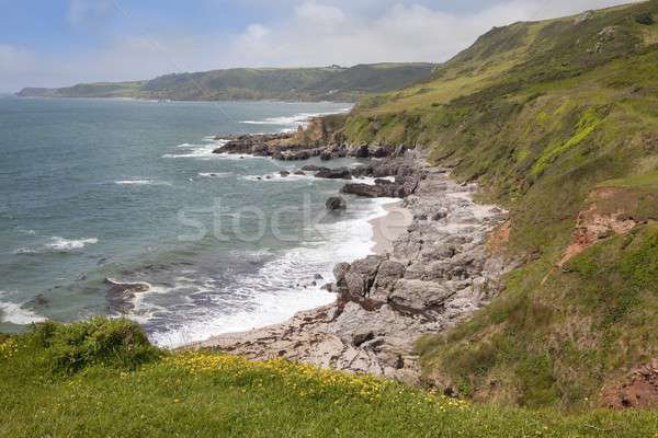 Summer in Devon Stock photo © andrewroland
