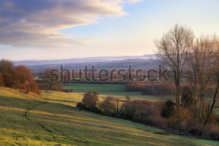 Rural English landscape Stock photo © andrewroland