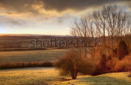 Sun rising over Gloucestershire Stock photo © andrewroland