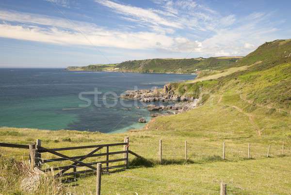 Devon coastline in summer Stock photo © andrewroland