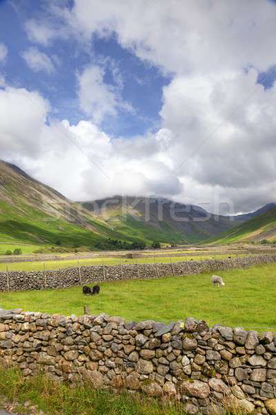 Fej víz Lake District hegyek birka Európa Stock fotó © andrewroland