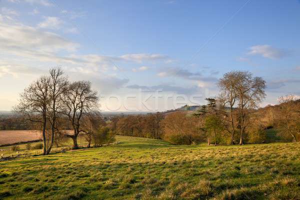 Rural Gloucestershire Stock photo © andrewroland