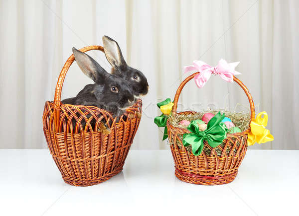 Zdjęcia stock: Koszyka · króliki · Wielkanoc · biały · projektu · czarny