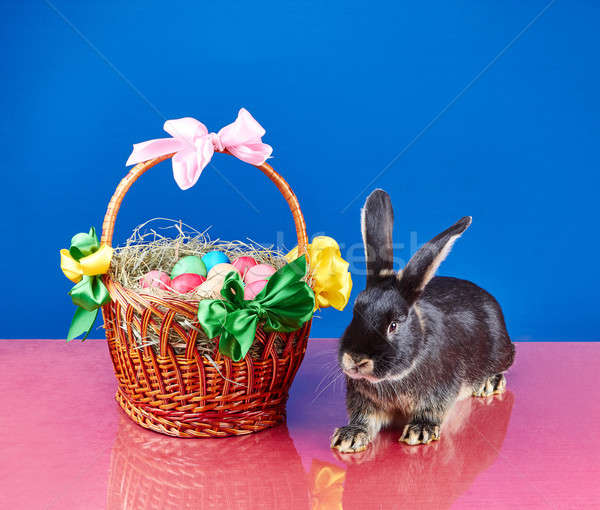 Cute bunny Wielkanoc koszyka dziewczyna dzieci Zdjęcia stock © Andreyfire