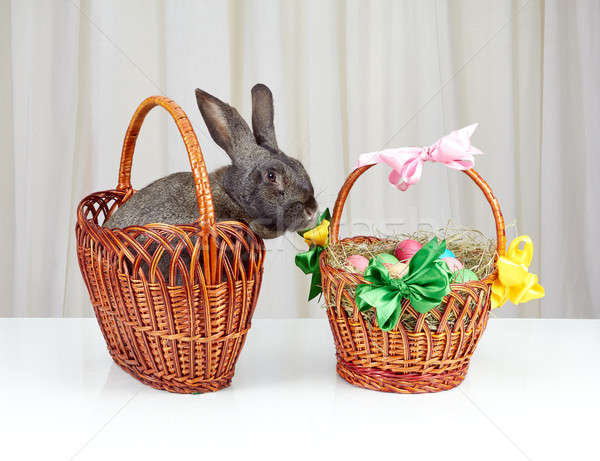 Koszyka szary królik posiedzenia obok Wielkanoc Zdjęcia stock © Andreyfire