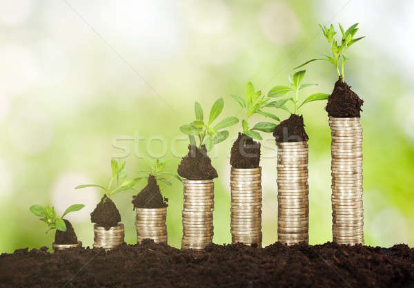 Small Plant Growing On Stacked Coins Stock photo © AndreyPopov