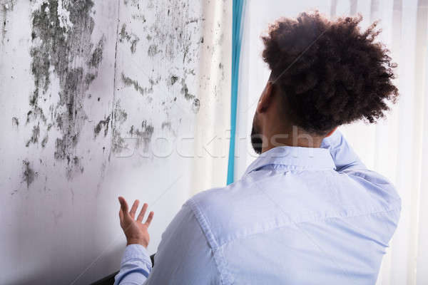 Człowiek patrząc pleśń ściany widok z tyłu młody człowiek Zdjęcia stock © AndreyPopov