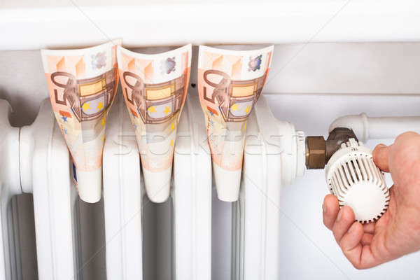 歐元 男子 恆溫器 散熱器 商業照片 © AndreyPopov
