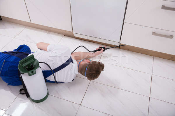 Exterminator Worker Spraying Insecticide Chemical Stock photo © AndreyPopov