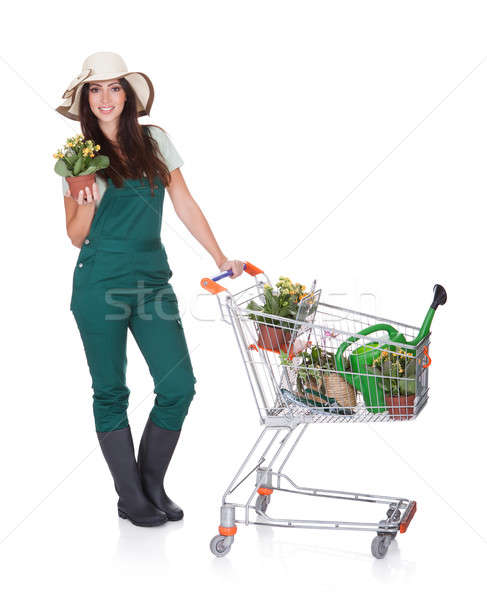 Smiling Attractive Woman Holding Shopping Cart Stock photo © AndreyPopov