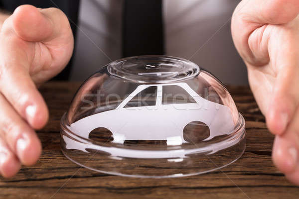 Person Protecting Car Cut Out In Bowl Stock photo © AndreyPopov