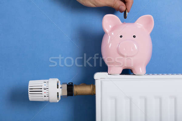 Person Man Inserting Coin In Piggy Bank Stock photo © AndreyPopov