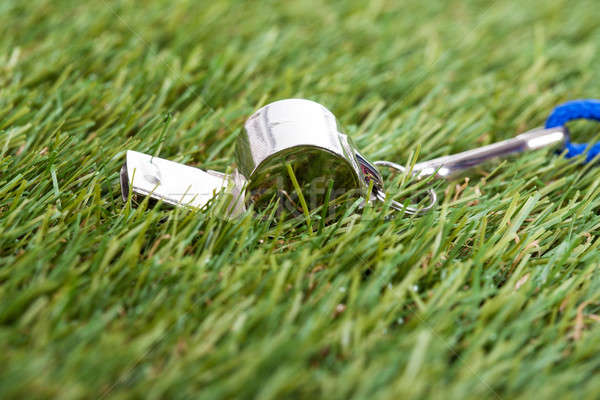 Arbiter fluiten groene veld voetbal Stockfoto © AndreyPopov