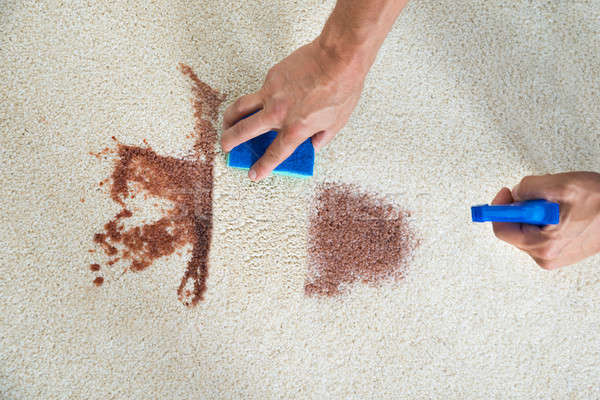 Man Cleaning Stain On Carpet With Sponge Stock photo © AndreyPopov