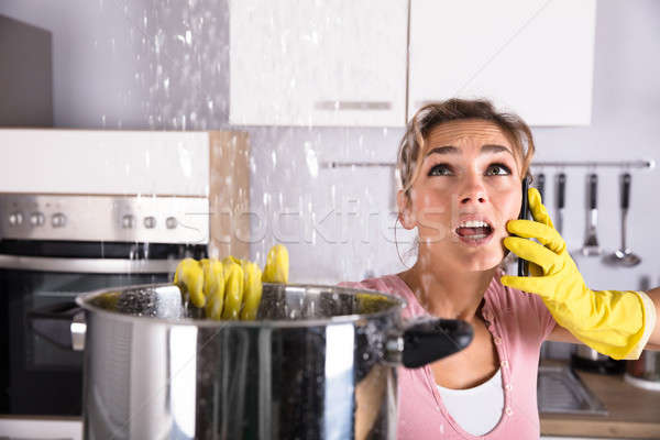 Woman Calling Plumber To Fix Water Leaking From Ceiling Stock photo © AndreyPopov