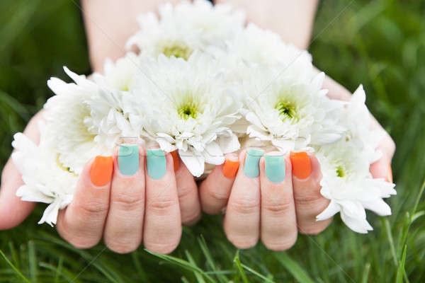 Hände halten Blume Nagel Stock foto © AndreyPopov