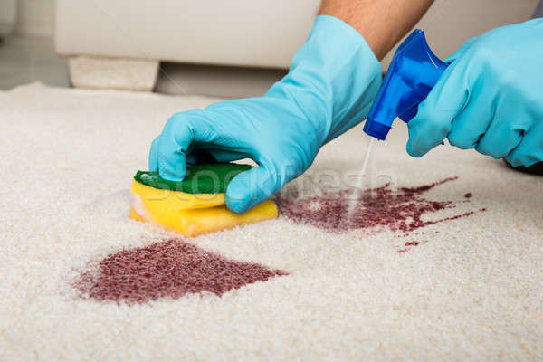 Persoon schoonmaken vlek tapijt spray fles Stockfoto © AndreyPopov