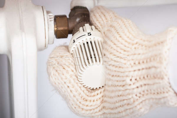Mano indossare radiatore primo piano soldi Foto d'archivio © AndreyPopov