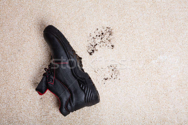 Pary buty błoto dywan piętrze Zdjęcia stock © AndreyPopov