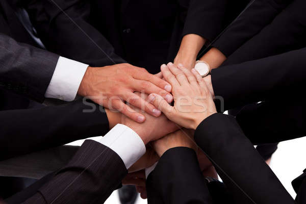 Business team pledging their support Stock photo © AndreyPopov