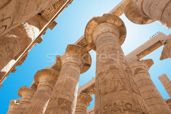 Oszlopok templom alulról fotózva kilátás Luxor Egyiptom Stock fotó © AndreyPopov