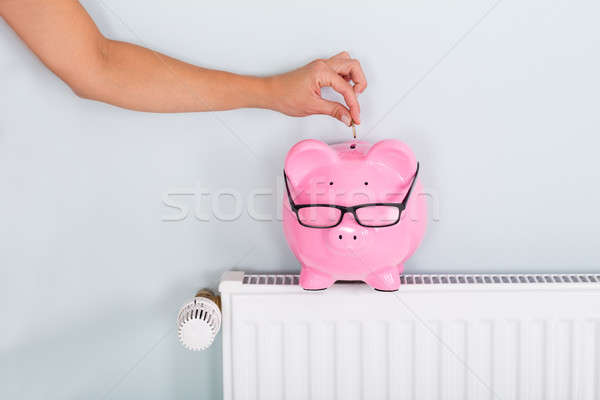 Kobieta monety banku piggy radiator strony zapisać Zdjęcia stock © AndreyPopov