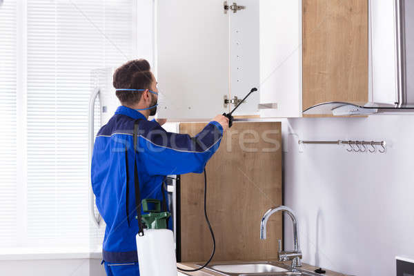 Trabajador cocina uniforme casa hombre Foto stock © AndreyPopov