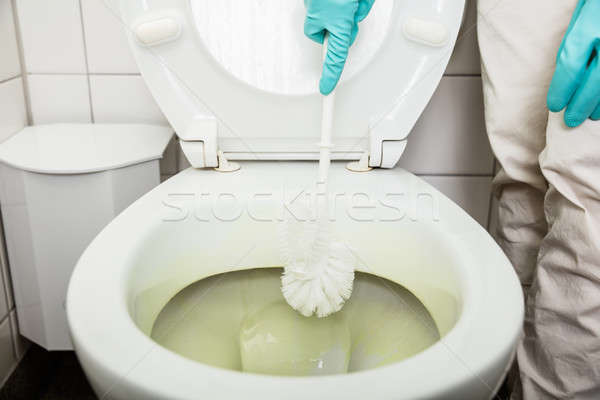 Personne main brosse propre toilettes bol Photo stock © AndreyPopov