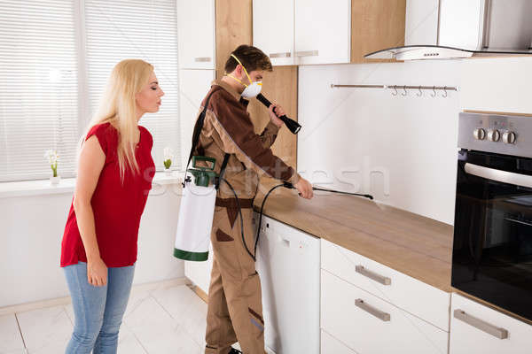 Male Worker Spraying Insecticide In Kitchen Stock photo © AndreyPopov