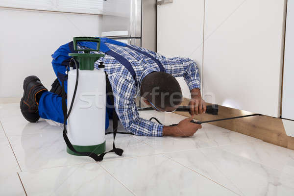 Worker Kneeling On Floor And Spraying Pesticide Stock photo © AndreyPopov