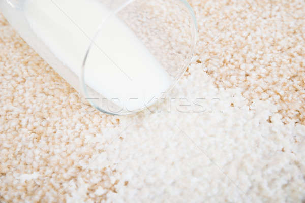 Milk Spilled On Carpet Stock photo © AndreyPopov