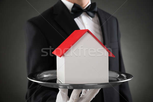 Mordomo casa modelo aço inoxidável bandeja Foto stock © AndreyPopov
