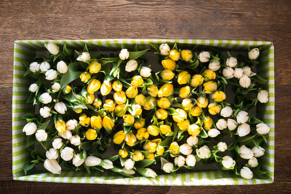 Tulips In The Open Box Stock photo © AndreyPopov