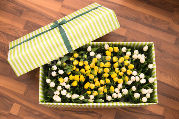 Tulips In The Open Box Stock photo © AndreyPopov