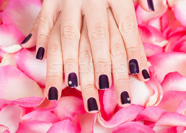 Woman with beautiful nails holding petals Stock photo © AndreyPopov