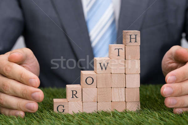 Businessman Protecting Growth Blocks On Grass Stock photo © AndreyPopov