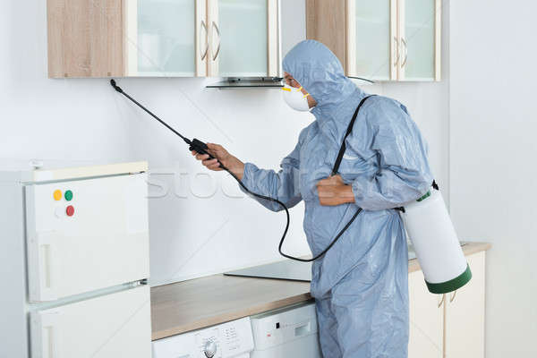 Exterminator In Spraying Pesticide In Kitchen Stock photo © AndreyPopov