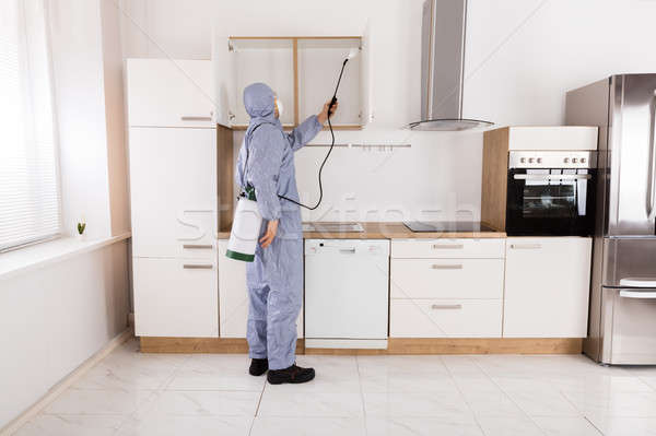 Werknemer plank werkkleding keuken huis Stockfoto © AndreyPopov