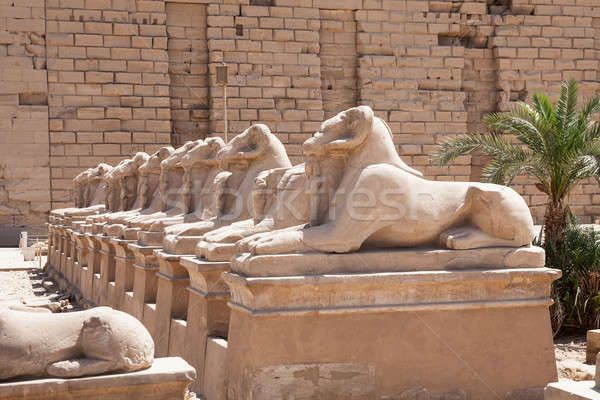 Szobor templom Luxor Egyiptom épület kék Stock fotó © AndreyPopov