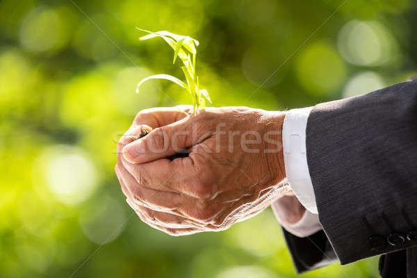 Stock photo: Businessman Holding Plant With Soil