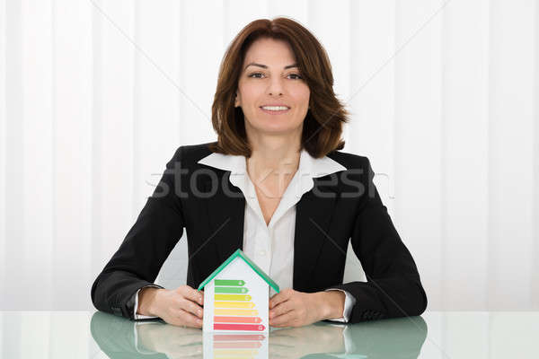 Femeie de afaceri eficienta energetica casă model Imagine de stoc © AndreyPopov