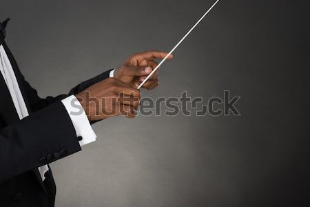 Music Conductor Hands Holding Baton Stock photo © AndreyPopov
