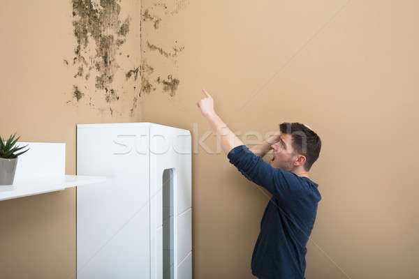 Shocked Man Looking At Mold On Wall Stock photo © AndreyPopov