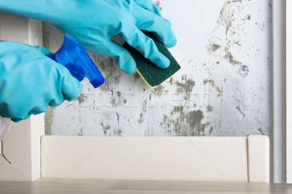 Stock photo: Housekeeper Cleaning Modl From Wall